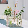 Bigsee Test Tube Vase for Flowers, Glass Vase with Metal Stand Racks Hydroponic Test Tube Vase Set of 5, Gold Hinged Plant Vases Display Set Table Centerpieces Vase for Home Decor