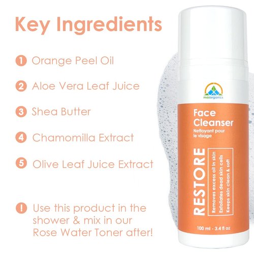 Face Cleanser - Best Hydrating & Moisturizing Daily Foaming Face Wash with Aloe Vera | Reduces Blemish, Unclogs Pores, Prevents Wrinkles & Hydrates Skin (3.4fl.oz/100ml)