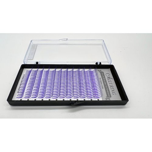 Alluring Color Volume Lashes 5D Lash Fans C curl 0.07mm Thickness Eyelash Extension (Purple, 13)