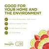 Sapadilla Grapefruit + Bergamot Biodegradable All-Purpose Cleaner Concentrate, 25 Ounce