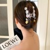 6PCS Cute Hair Claw Clips Transparent Hair Clamps for Women Thin Thick Curly Hair Styling - Strong Hold Hair Accessories