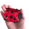 Funny Big Ladybug Hair Clip,Acetate Hair Clip,Small Claw Clip for Women,Red, 1 Count (Pack of 1)