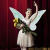 Lucakuins Fairy Wings for Girls Halloween Costumes,Girls Butterfly Fairy Wings for Fairy Costumes Sparkle Fairy Princess Wings Party Favor (Green Fairy Wings)