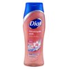 Dial Body Wash Himalayan Salt 16 Ounce Enriching (473ml) (Pack of 6)