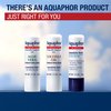 Aquaphor Naturally Inspired Lip Repair Stick with Aloe Vera and Natural Shea Butter, Hydrating Lip Balm Stick Immediately Relieves Dryness and Soothes Chapped Lips, 0.17 Oz Stick