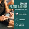 Plant Aminos Organic Essential Amino Acids (EAAs) & BCAA - 100% Plant-Based Raw, Vegan - All 9 Amino Acids with 18 Total Amino Acids (360 Tablets)