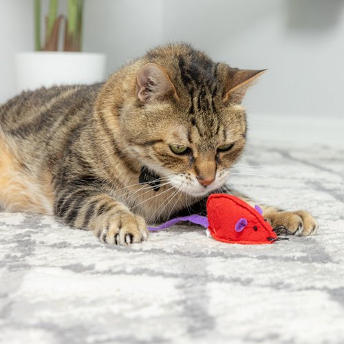 SPOT Felt Mice Catnip Toy | Soft, Colorful Multipack Interactive Cat Toy for Indoor Cats | Includes Catnip | 6 Pack in Assorted Colors