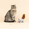 Fringe Studio "ONE TUFF NUT Teaser Cat Toy, PetShop Collection (717001)