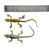 BAINFE 12Pcs Fake Plastic Lizard Toys Colorful Rubber Lizards Action Figure Reptile Toy Lizard Realistic Favors Gag Toys Prank and Prop, 5.5" Lizards 12 Styles