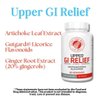 Silver Fern GI Relief - Natural Herbal Supplement - All Natural with Artichoke Leaf Extract, Ginger Root Extract, and GutGuard Licorice Flavonoids (2 Bottles - 120 Capsules - 60 Day Supply)