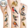 109 PCS Small Rainforest Bird Temporary Tattoos Birthday Party Decorations Supplies Favors Hawaiian Summer Hummingbird Decor Stickers For Girls Boys Gift School Prizes Rewards