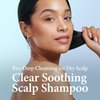 Kundal Clear Soothing Scalp Shampoo [Apple Green Tea] Shampoo - Korean Hair Care, Deep Cleansing, Sensitivity Care, Reduce Flakes, Relieves Scalp Irritation, For Dry Scalp 10.14fl oz (Pack of 2)