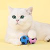 PET SHOW Pack of 30pcs Cat Toy Balls Set Interactive Pompoms Kitten Toys Golden Thread Ball Paper Balls Quiet Indoor Outdoor Footballs Play Activity Chase Training