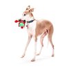 Midlee Christmas Elf Plush Dog Toy