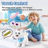 Ylpaprm Samoyed Walking Dog Toy for Kid Girl Puppy Toy Dog Licking Barking Dog with Leash, Electric Talking Singing Tail Wag Plush Robot Dog DIY Pretend Dress Up Interactive Dog