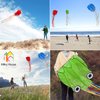 3 Pack Octopus Kite, 3D Kite Long Tail Easy Flyer Kite Beach Kites People Adults Gift 3 Colors (Blue Green Red) Kites for Kids Easy To Fly, Kite Kit with Kite String 100M, Kiteboarding Kite for Adults