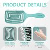 Daily Gard Detangling Brush, Dry and Wet Vented Detangler Hair Brush for Women and Men, Professional Paddle Curved Styling Hairbrush for Straight/Curly/Thick/Long/Wavy/Damaged Hair, Green