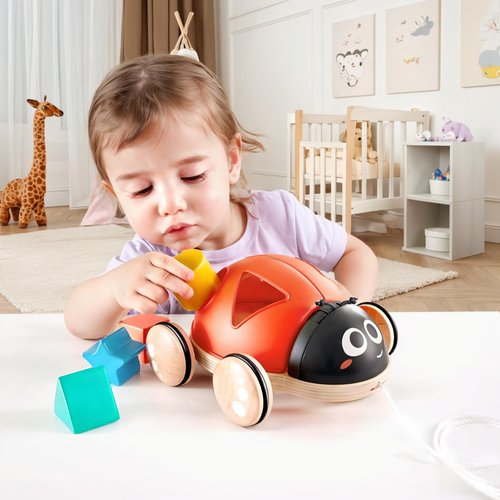 Hape Shape Sorter Ladybug