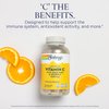 SOLARAY Vitamin C with Rose HIPS & Acerola | Two-Stage Timed-Release Formula | 1000mg | 24-Hour Immune Support & Antioxidant Supplement | 250 Ct.