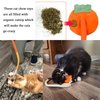 Benbabuwe 4Pcs Cat Toys for Indoor Cats Chew Ropes, Catnip Toys Interactive Cat Toy Safe Teeth Cleaning Toy for Kittens Cotton Rope Teeth Toys for Bored Cats Self Play Adult Cats, Yellow and Orange