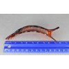 Brown leaf barrette curved hair clip leaves 4.5 inches long stamped textured plastic