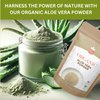 Organic Aloe Vera Powder for Skin & Hair – 8 oz. - Aloe Barbadensis - Nourishing Face Mask for Natural Beauty, USDA Certified Organic & Non-GMO