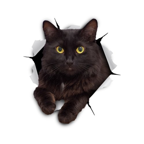 Winston & Bear 3D Cat Stickers - 2 Pack - Black Cat Wall Decals - Cat Wall Stickers for Bedroom - Fridge - Toilet - Car - Retail Packaged