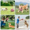 Dog Balls, Interactive Dog Toys for Tug of War, Dog Soccer Ball with 9 Nylon Straps for Indoor Outdoor, Dog Toys for Small Dogs & Medium Gift for Birthday(6 inch)