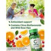 Vitamin C with Rose Hips and Bioflavonoids | 500mg | 100 Caplets | Vegetarian, Non-GMO & Gluten Free | by Nature's Truth.