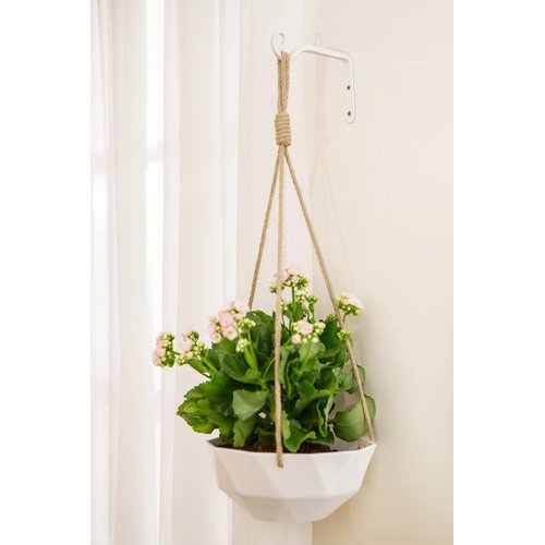 Mkono Hanging Plant Bracket 6 inch Metal Wall Plant Hook Decorative Plant Hanger for Bird Feeders, Planters, Lanterns, Wind Chimes, Home Decor Indoor Outdoor 2 Pack, White