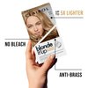 Clairol Blonde It Up Permanent Hair Dye, Platinum Bronde Hair Color, Pack of 1