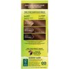 Garnier Nutrisse Nourishing Hair Color Creme, 53 Medium Golden Brown, Chestnut, Packaging May Vary