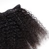 ZigZag Hair Afro Kinky Curly Clip In Human Hair Extensions Brazilian Virgin African American 4B 4C Clip in Hair Extensions Natural Clip Ins For Black Women (16inch, 3B 3C)