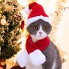 YUJUN 2PCS Cat Christmas Costume Christmas Pet Santa Hat with Scarf Outfit for Puppy Kitten Christmas Party Costume Supplies