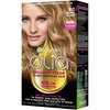 Garnier Olia Ammonia Free Permanent Hair Color, 100% Gray Coverage (Packaging May Vary), 8.0 Medium Blonde, Pack of 1