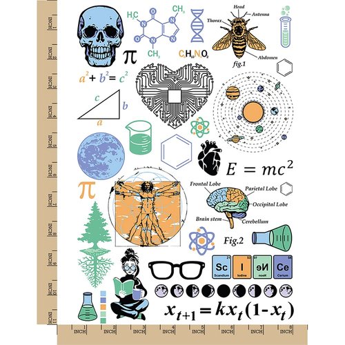 Nerdy Science Math Geek Temporary Tattoo Water Resistant Fake Body Art Set Collection - Color (One Sheet)