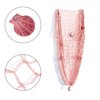 Nature Fish Net Wall Decoration with Shells, Ocean Themed Wall Hangings Fishing Net Party Decor for Pirate Party,Wedding,Photographing Decoration (Pink)