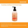 McKesson Foaming Hand Soap - Clean Scent - 18 oz, 1 Count