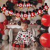 Dalaber Oh Twodles Banner, Happy 2nd Birthday Party Decor for Boys, Red Mouse 2nd Birthday Party Decorations Supplies, Red,Black