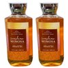 Bath and Body Works Gift Set of of 2 - 10 Fl Oz Shower Gel (Sunshine Mimosa)