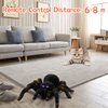 Aerbee RC Spider Tarantula, Wireless Remote Control High Simulation Spider Toy with Glowing Eyes, Perfect for Joke Game Kids Playing