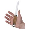 Case WR XX Pocket Knife Fixed Blade Polished Leather Item #381 - (316 5 SS) - Length Closed: 9 1/2 Overall Inches