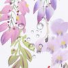 BECAN Floral Shower Curtain, Purple Wisteria Flower Polyester Fabric Waterproof Layer Thickening Shower Curtain 72X72Inches