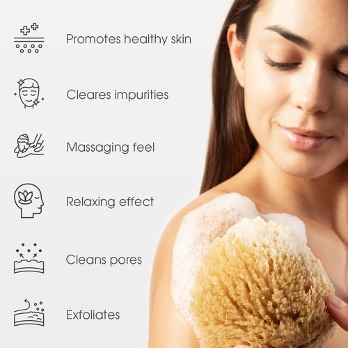 Naroa Exfoliating Natural Sponge for Bathing | Bath Sea Sponge for Healthy Skin | Unbleached Shower Body Scrubber Puff | Eco Friendly Plastic Free Sponge (Exfoliate - Small)