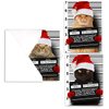 Purrpetrator Santa Cats Holiday Card Assortment Pack / 24 Christmas Cats Greeting Cards and Envelopes / 3 Bad Santa Kitten Designs With Message Inside
