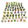 SIX VANKA Miniature Potted Plants Resin Decoration 30pcs Random Set for Doll House Pretend Play Toys DIY Mini Home Garden Flowerpot Succulent Planter