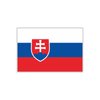 Womaha 30 Temporary Slovakia Flag Tattoos Fans Face Tattoo Stickers for Adults Kids Group Activity Props