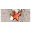 Beco Starfish Friend Soft Squeaker Dog Toy Made with Recycled Materials, Double Stitched & Layered, Medium for All Dog & Puppy Sizes