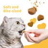 iPaw Soft Cat Treats for Indoor Cats, Healthy Kitten Snacks with Probiotics, Grain Free, Easy to Digest (Chicken and Cranberry)