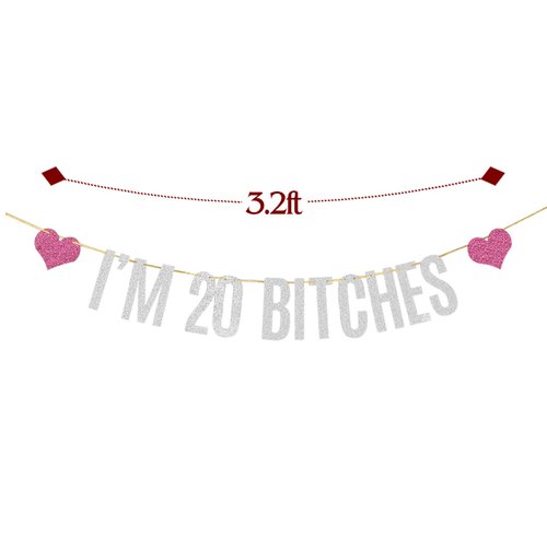 Silver Glitter I'm 20 Bitches Banner Happy 20th Birthday Banner Cheers to 20 Years Funny Birthday Theme Party Decorations